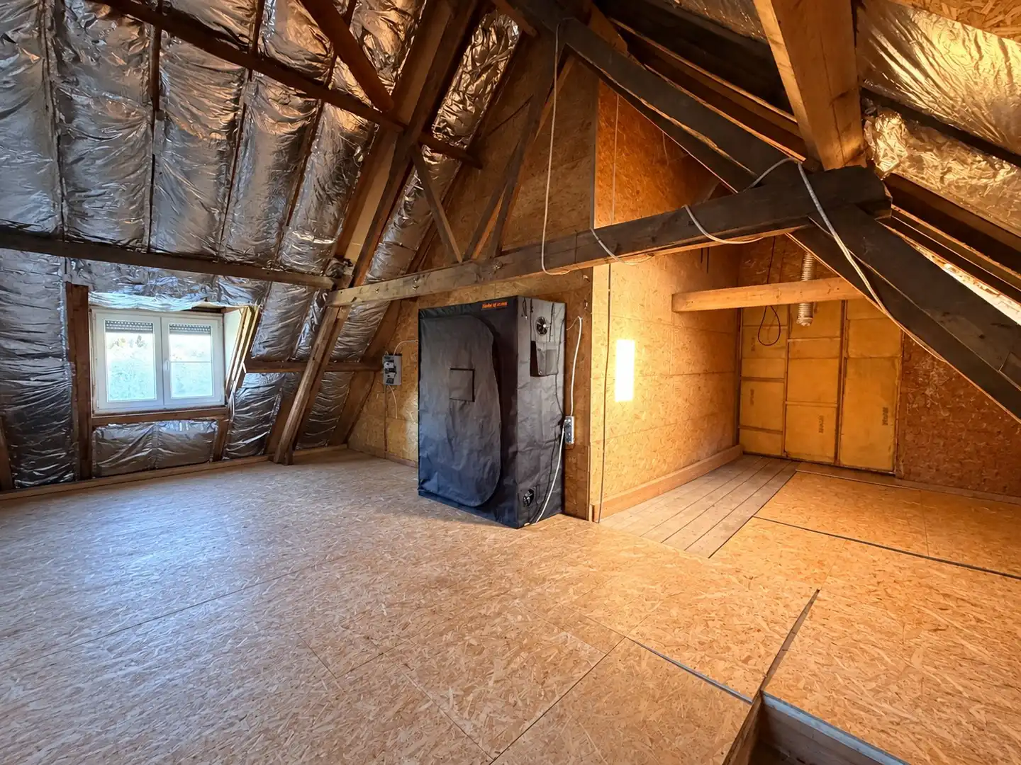 ​​​​​​​Te renoveren woning op 1.167 m²! foto 6