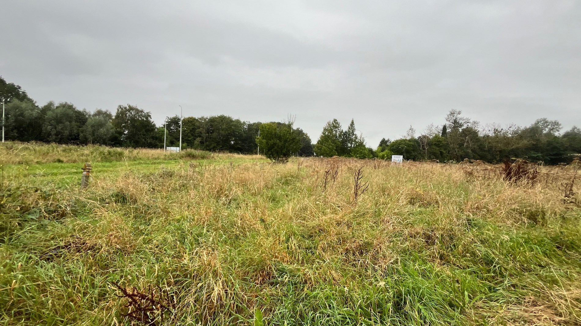 Groot stuk landbouwgrond van 4970 m² foto 1