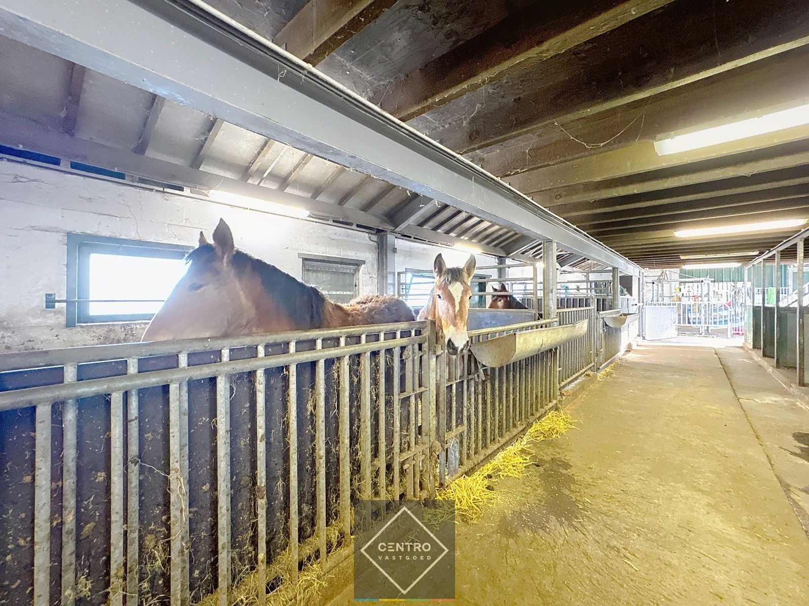 UNIEK gelegen hoeve op TOPligging te Zuienkerke! foto 10