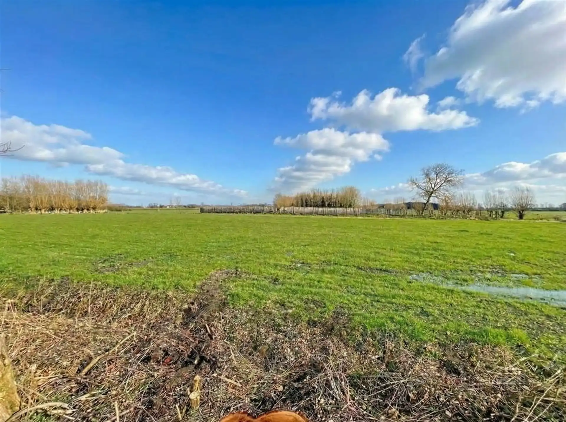 Prachtige bouwgrond van 2.120 m² met weids zicht op velden. foto 3