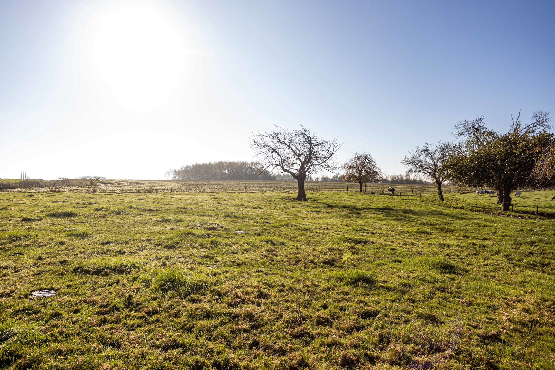 Unieke statige hoeve in een groene omgeving. foto 30