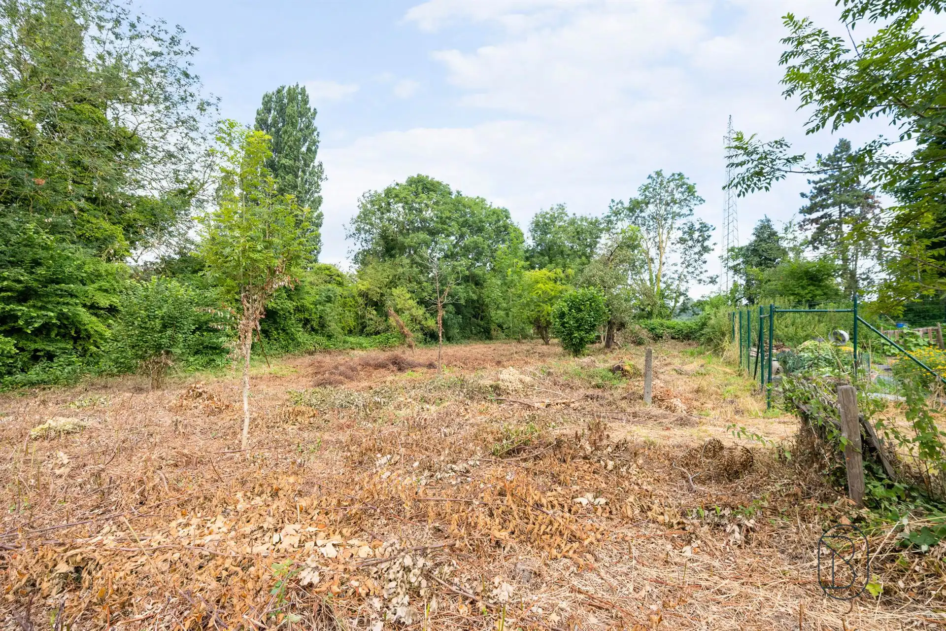 Charmante te renoveren hoeve met hangar op 36 are! foto 5