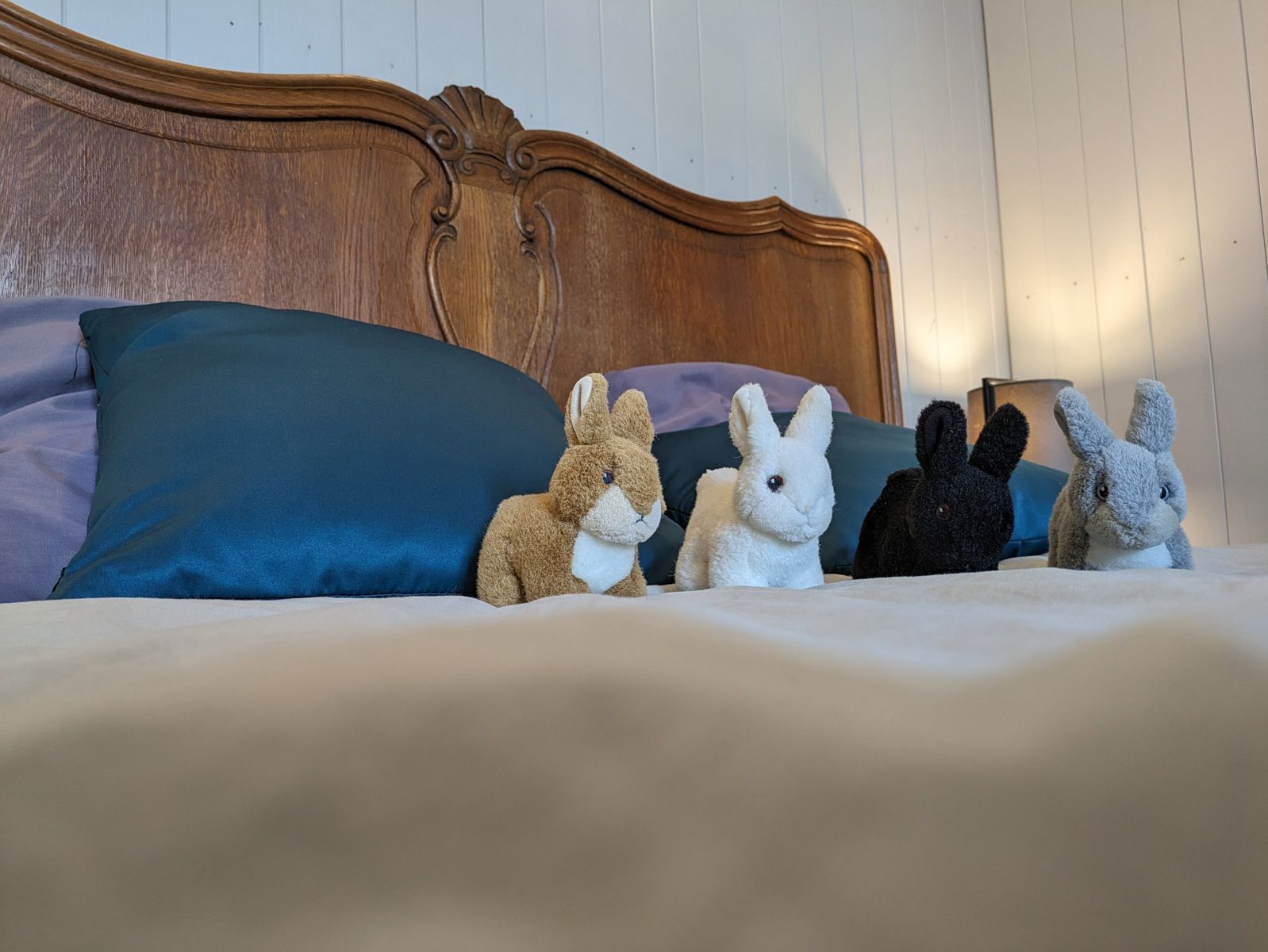 Huis te koop foto 16