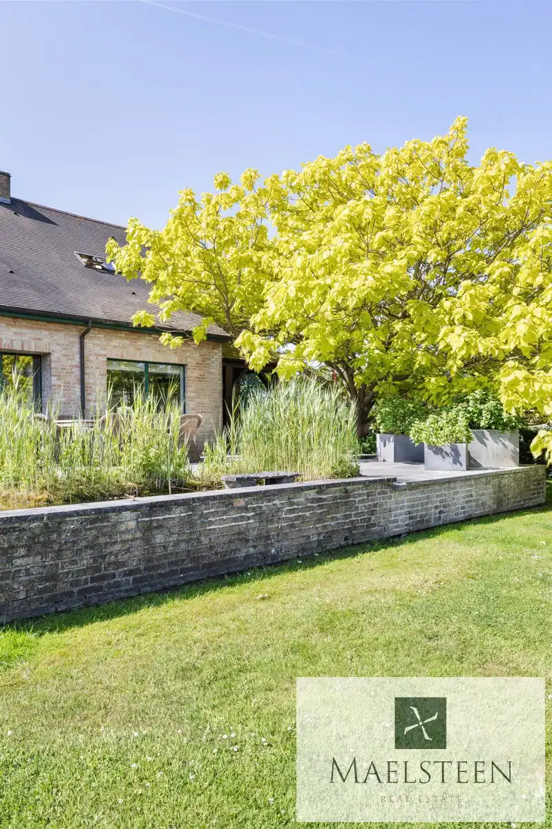 Boerderij op 1,5ha op de flank van Oedelem-berg  foto 24