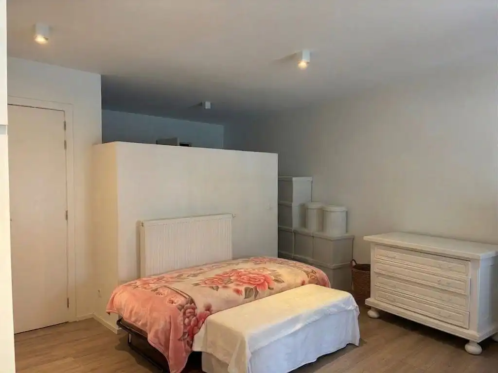 Recent appartement in het centrum van Brasschaat foto 5