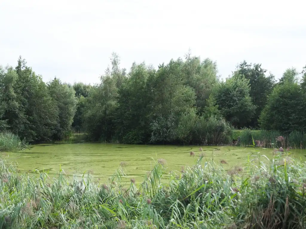 Stijlvolle nieuwbouwwoning (2019) met tuin op 50 m van het Ter Durmenpark. foto 19