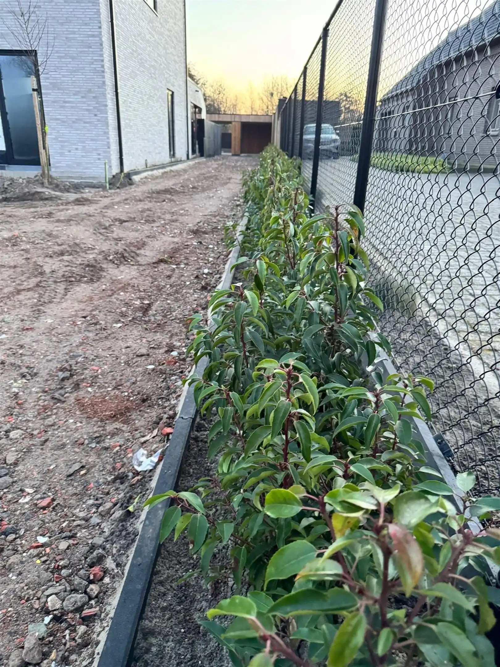 Nieuwbouw duowoningen met carport, terras of tuin foto 10