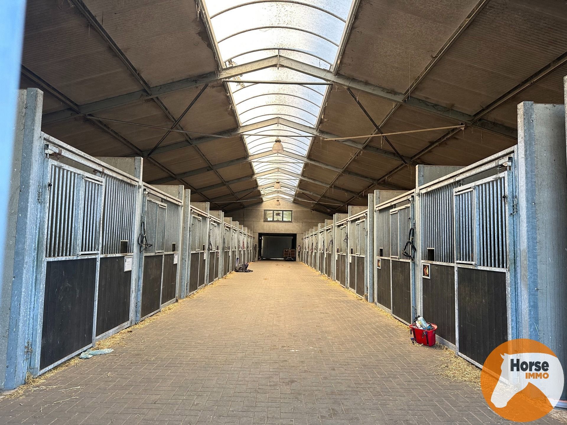KAMPENHOUT - Professionele paardenaccommodatie op 4ha28 foto 9
