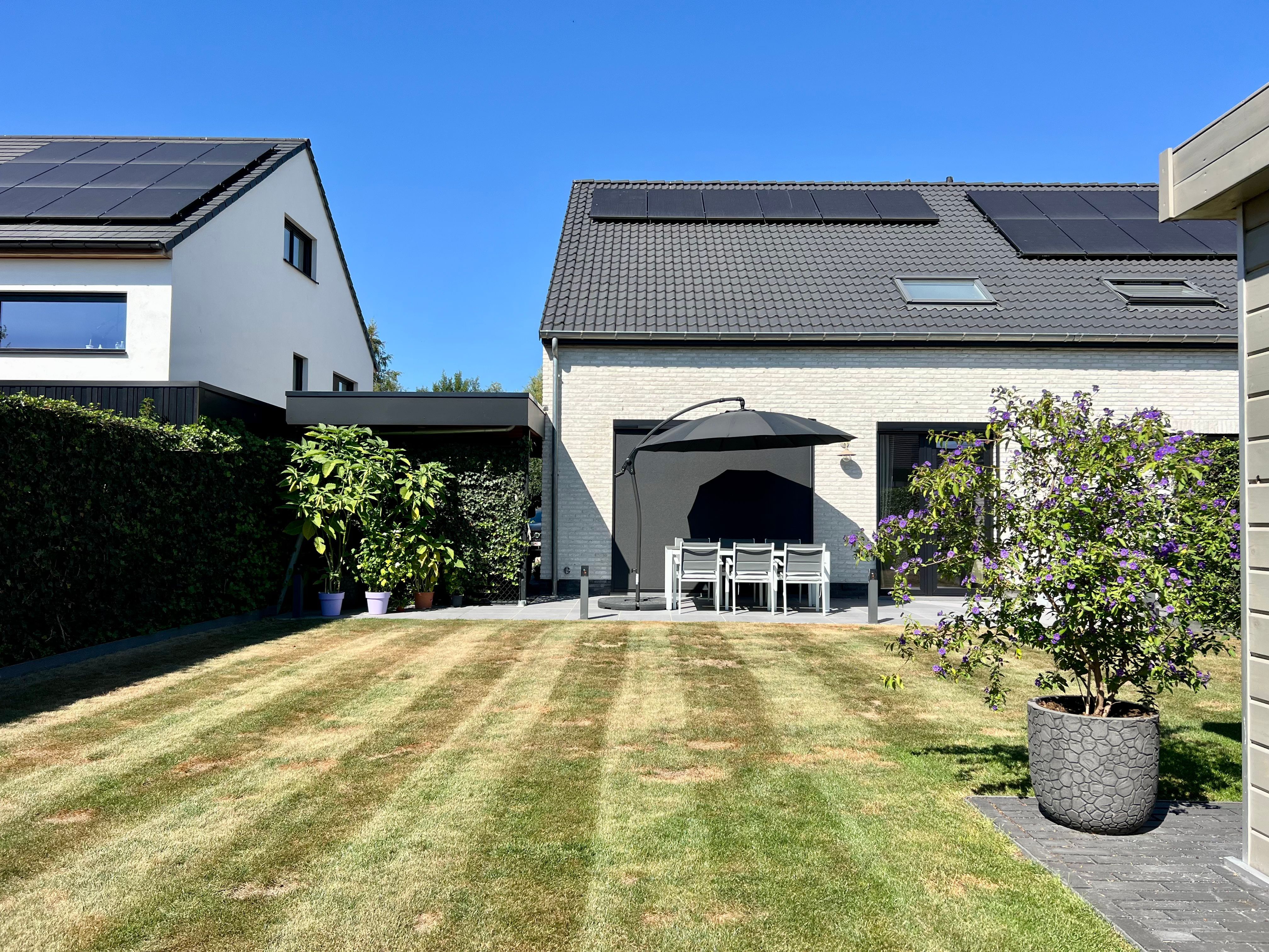 Haflopen nieuwbouwwoning met 3 ruime slaapkamers, oprit, carport, zonnige tuin, ... foto 2