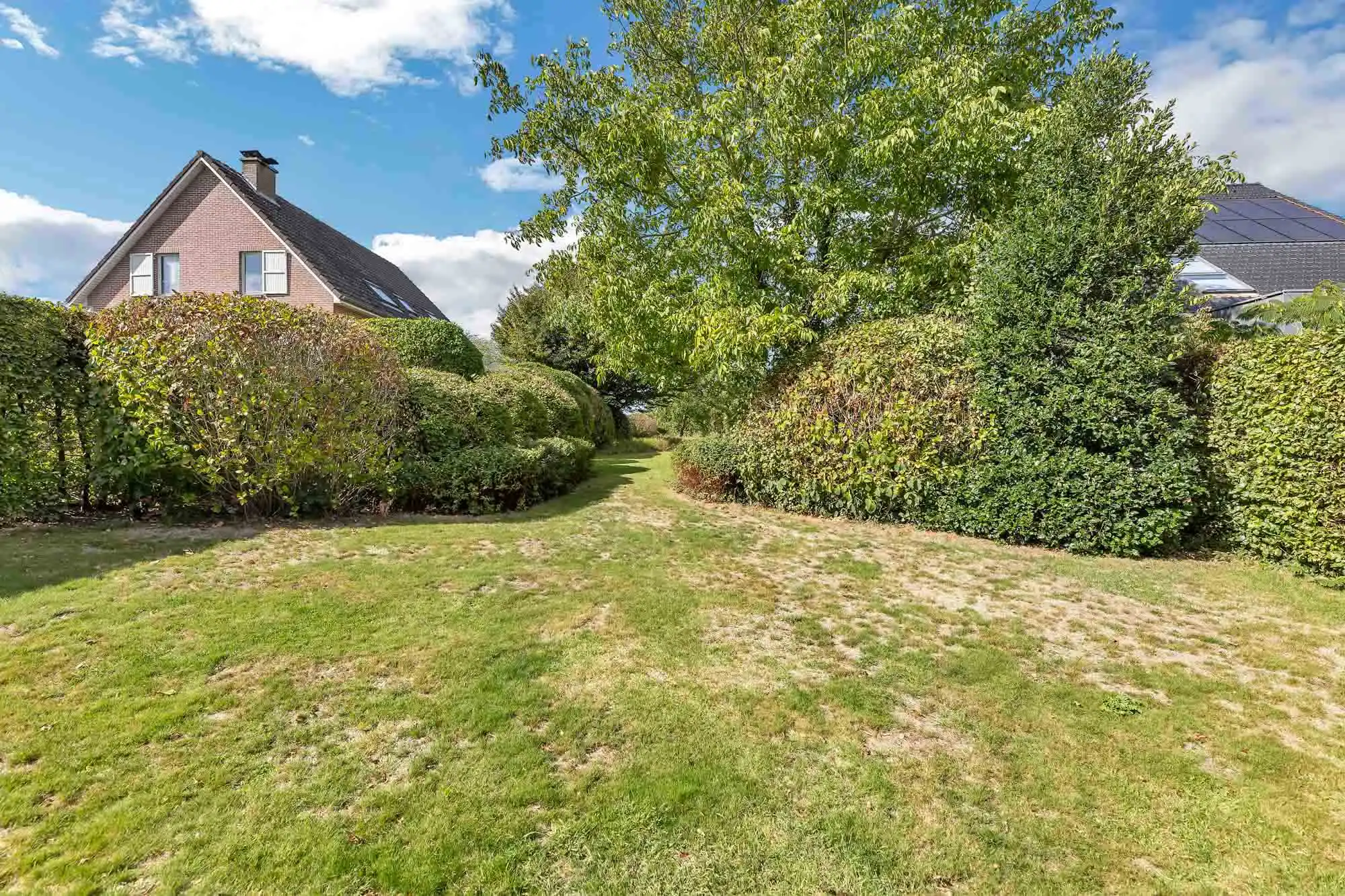 Unieke bouwgrond voor open bebouwing te koop in Wambeek! foto 6