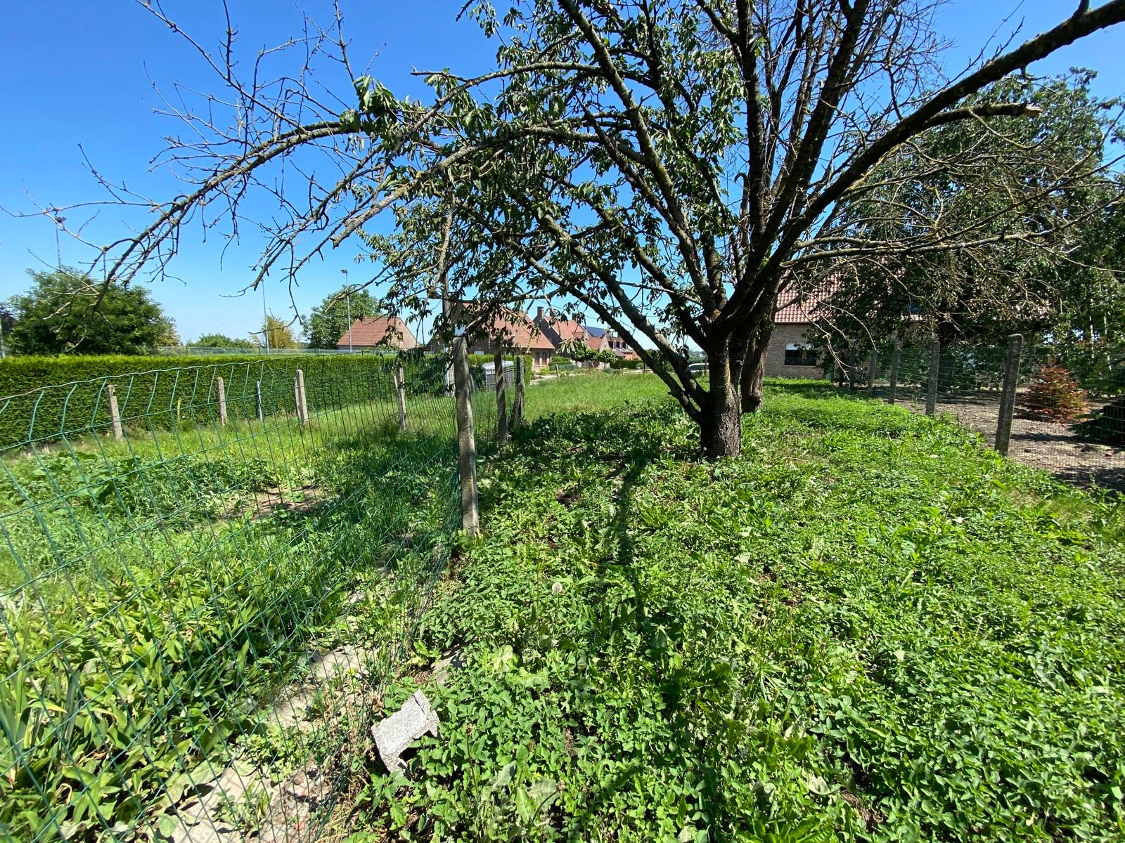 Rustig gelegen perceel bouwgrond voor HOB foto {{pictureIndex}}