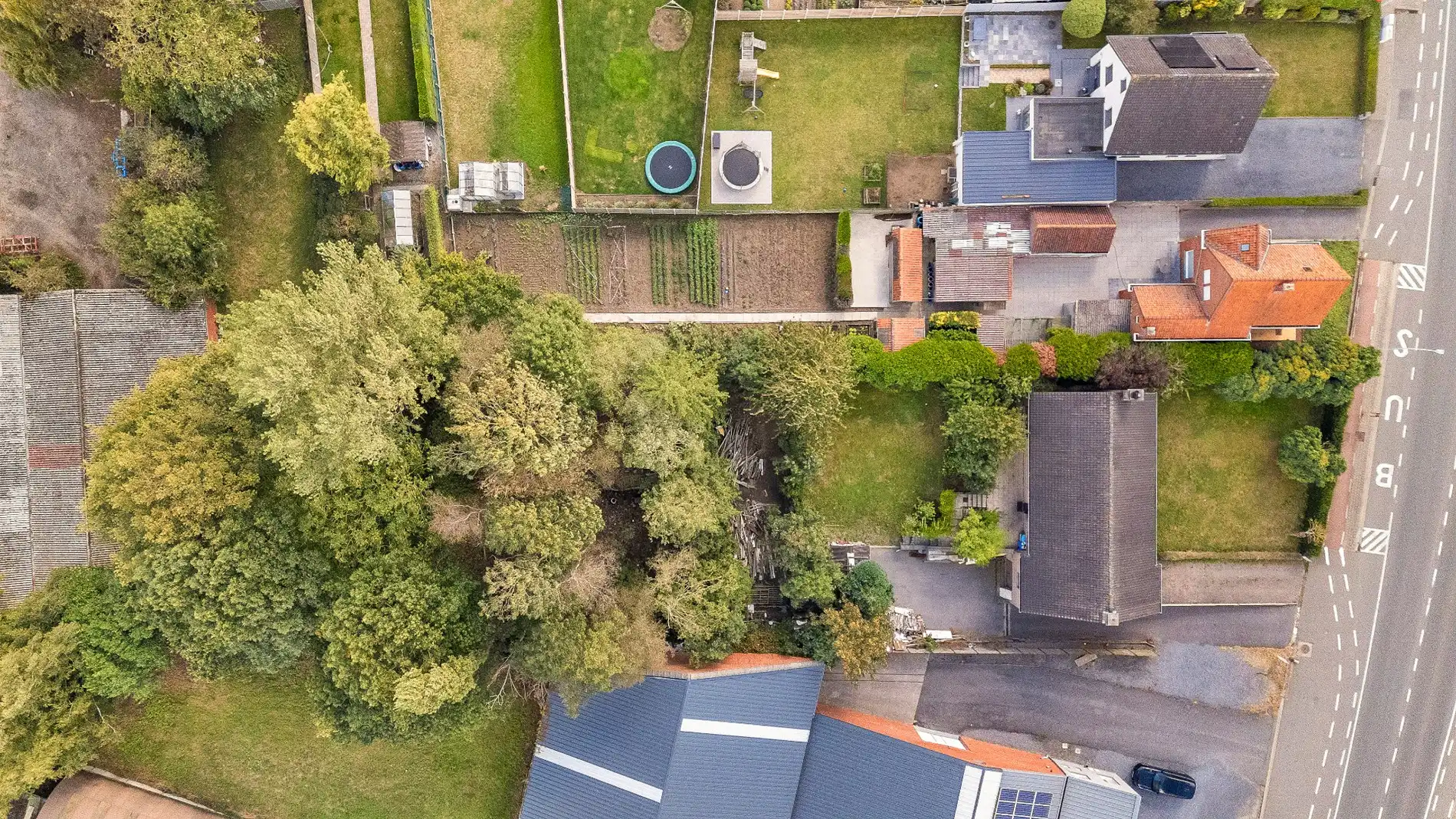 OP TE FRISSEN WONING MET 3 SLPKS, GROTE TUIN EN 2 GARAGES foto 3