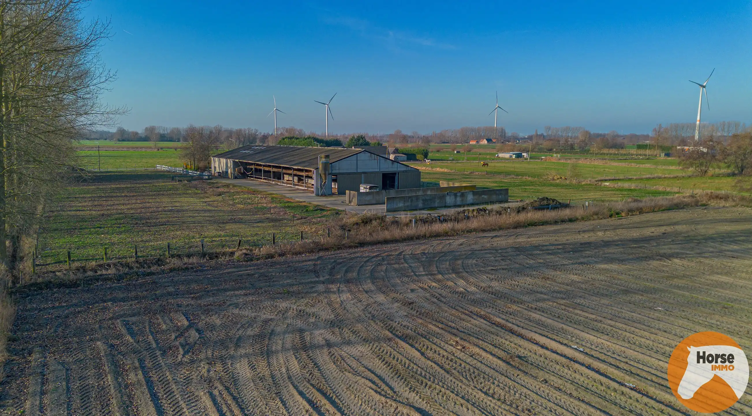 LAARNE- &nbsp;Landbouweigendom met geïntegreerde woning&nbsp; foto 29