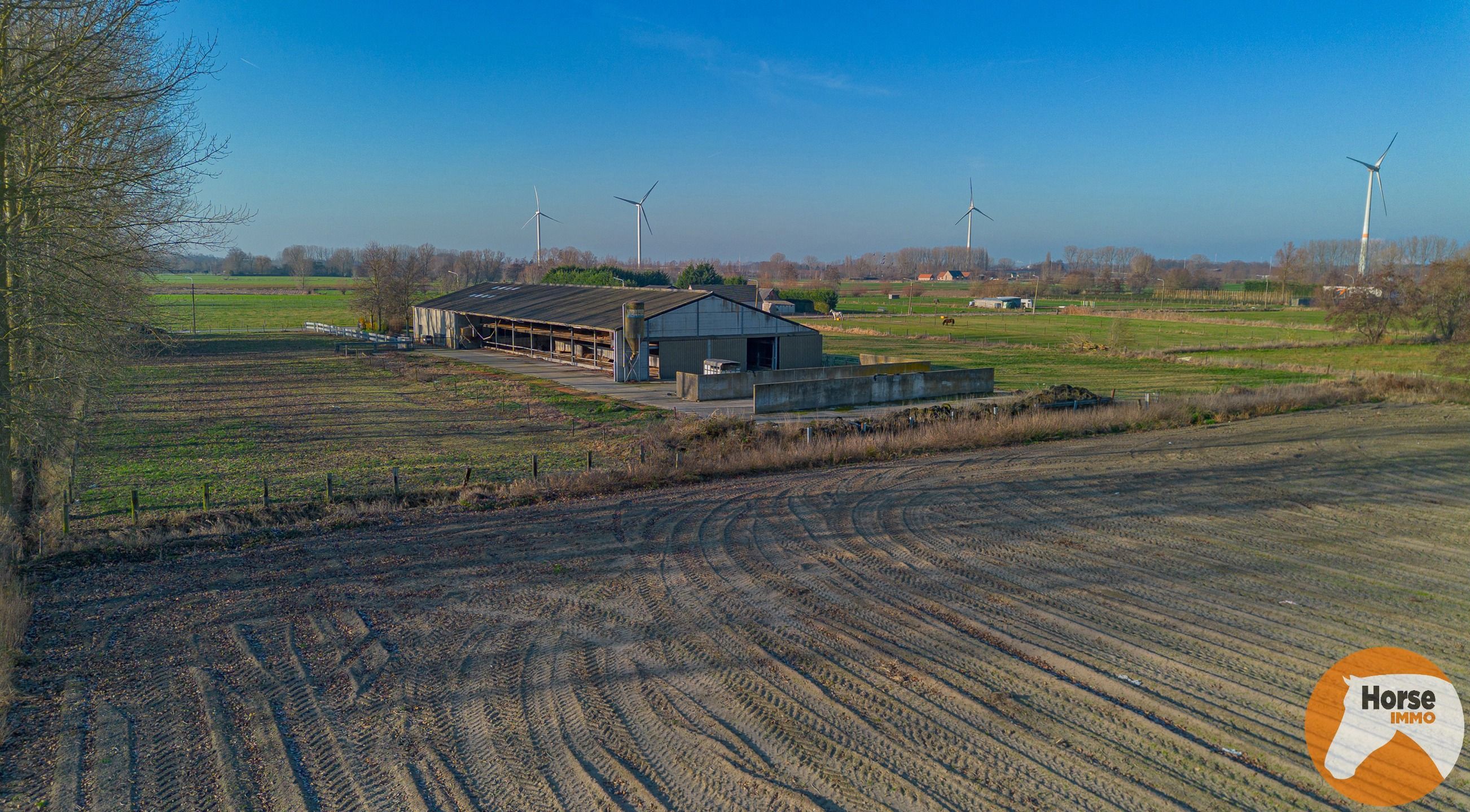 LAARNE- &nbsp;Landbouweigendom met geïntegreerde woning&nbsp; foto 29
