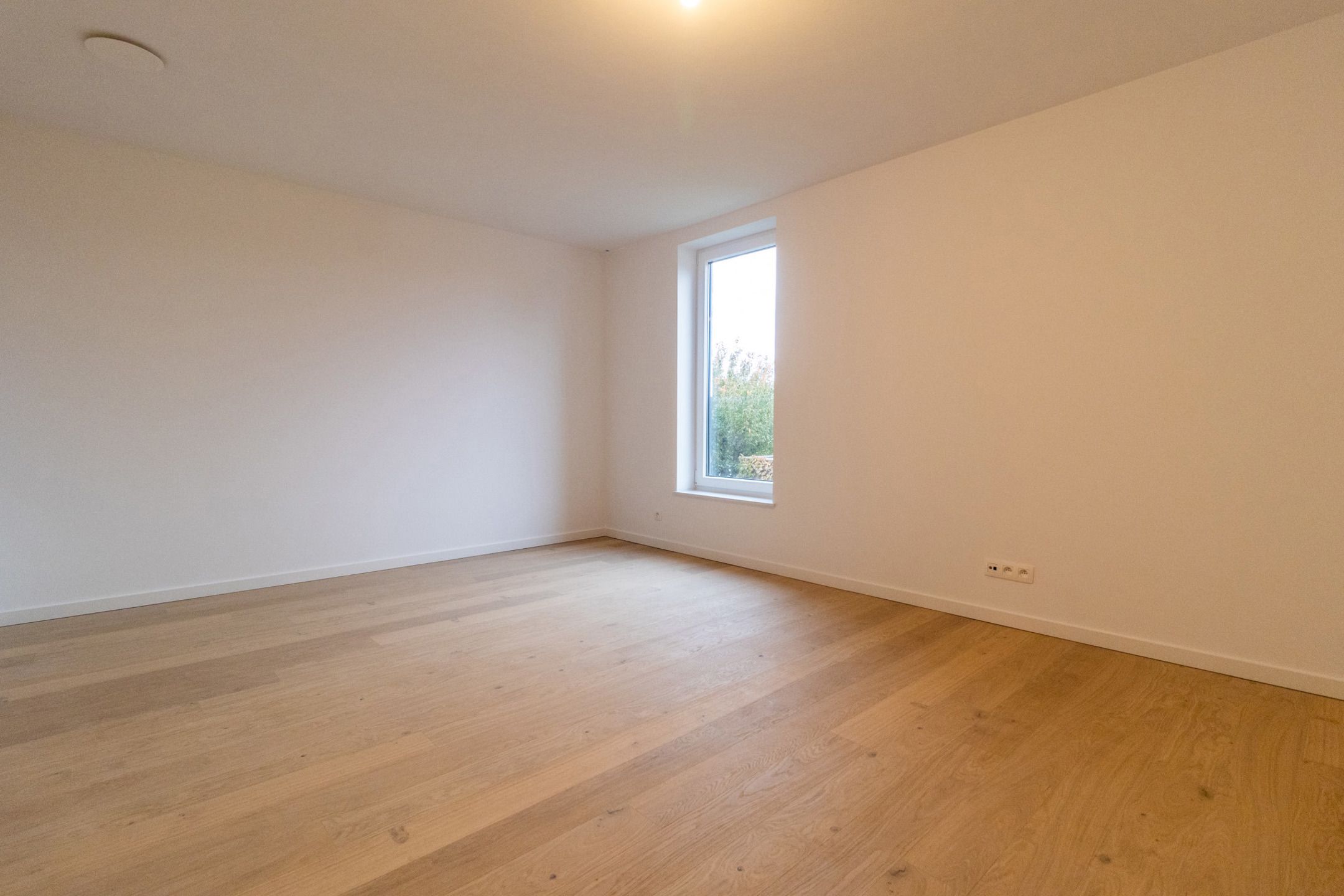 Huis te koop foto 19