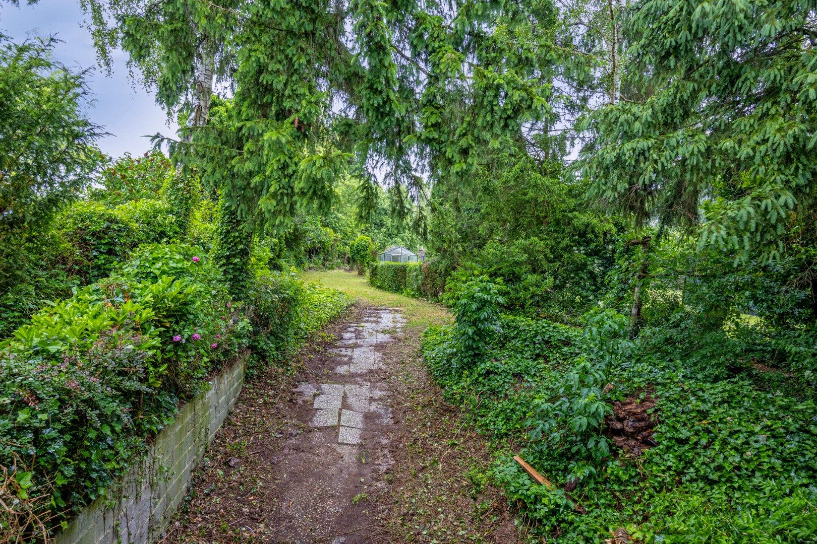 Ruime gezinswoning met grote tuin op perceel van 14a 41ca in Blanden te koop - bewoonbare opp. 236 m² foto 33