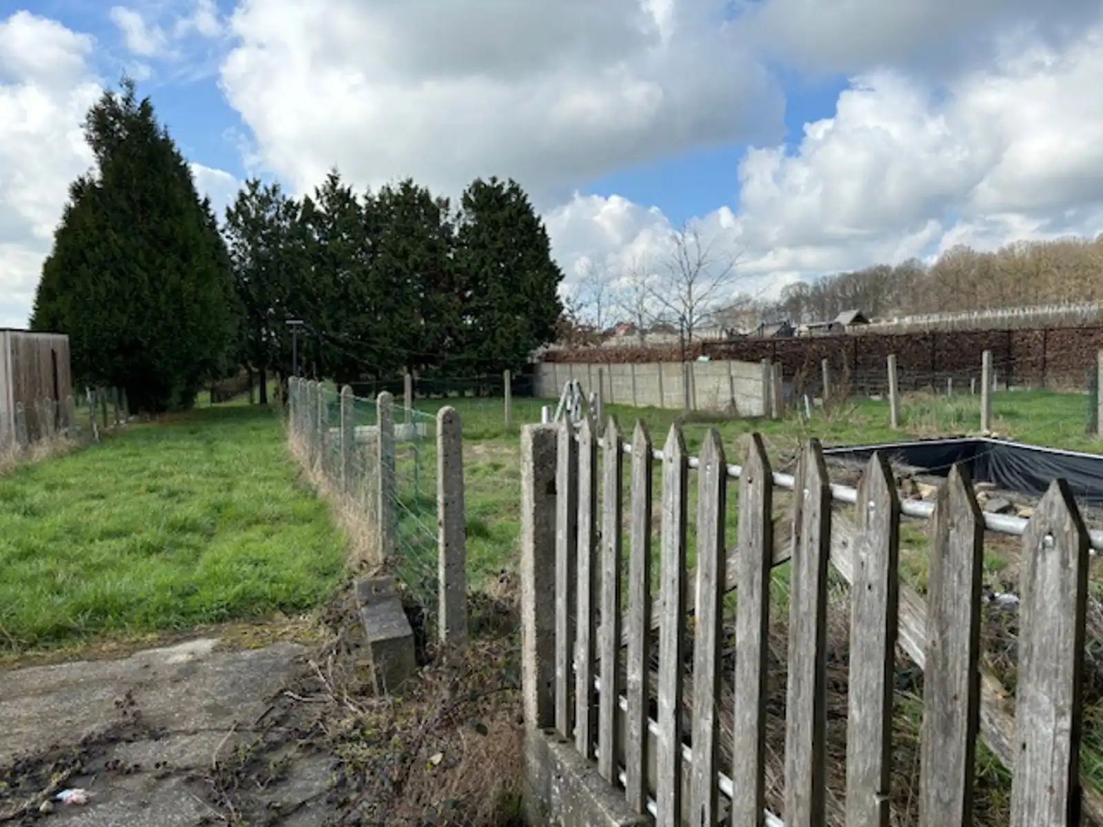 Woning 4 slpks met loods te Budingen (Zoutleeuw) foto 19