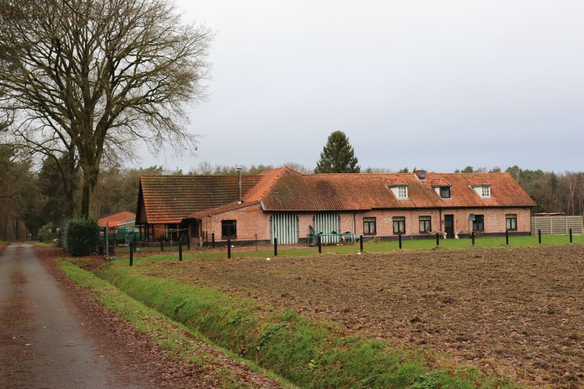 Hoeve met voormalige stallen vergund voor opslag te koop te Poppel foto 1