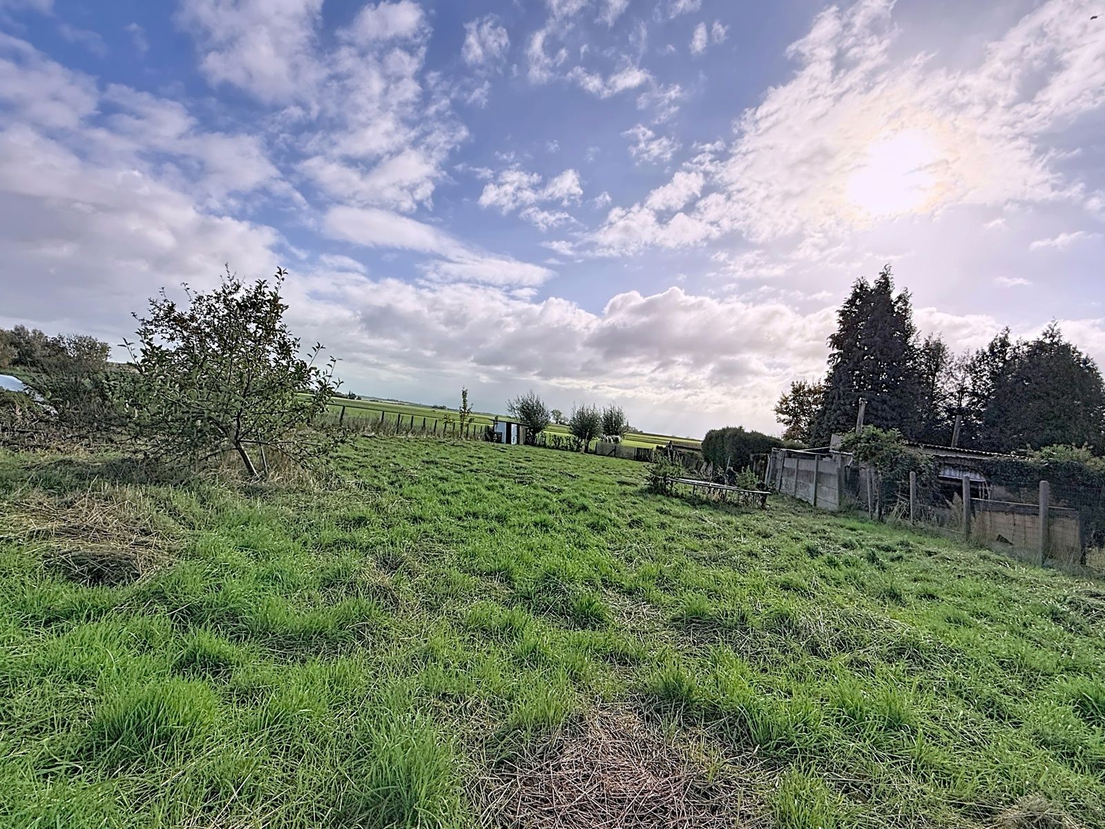 HOB -  3 kamers en ruime tuin foto 24