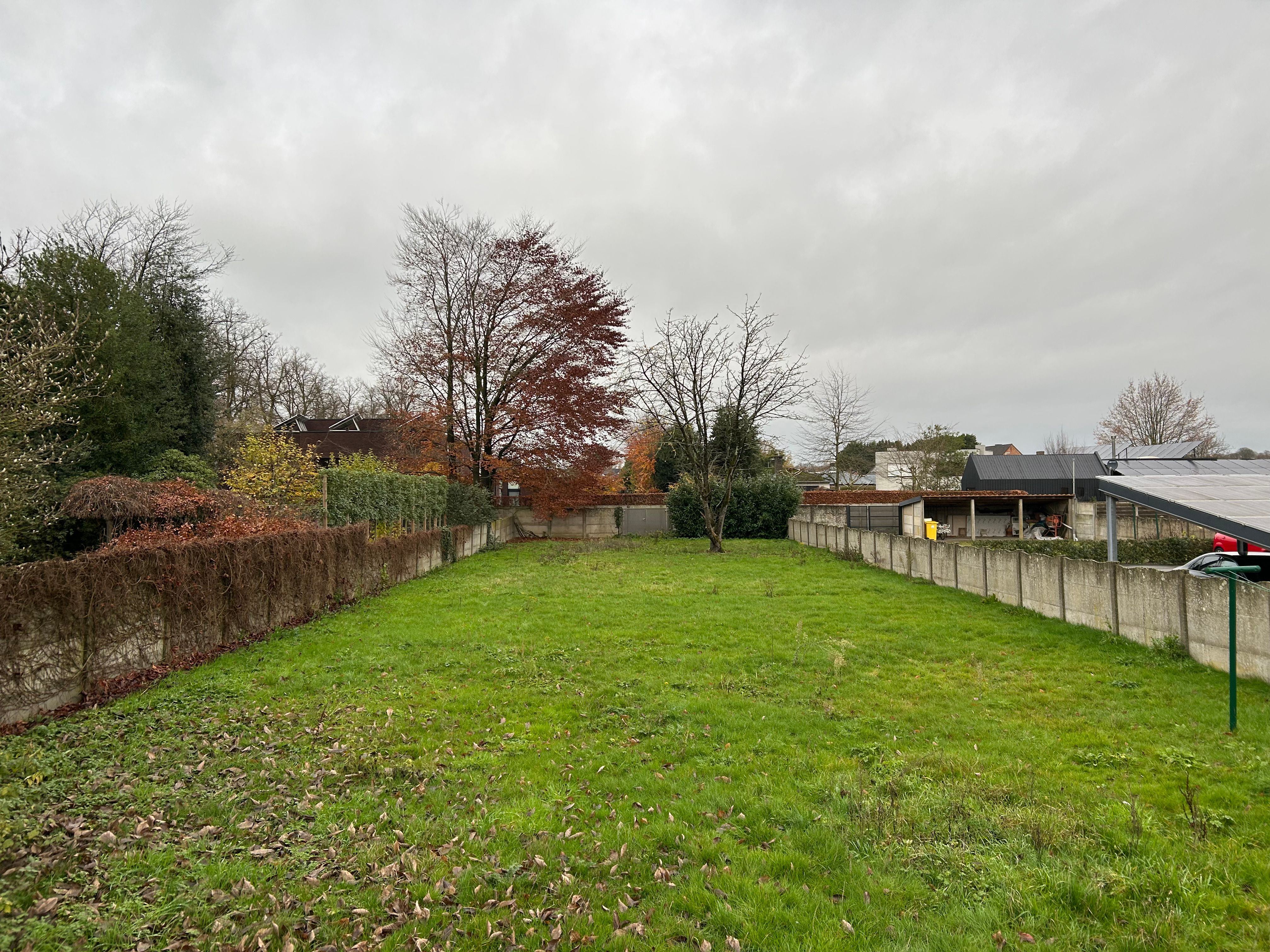 Open bebouwing op wandelafstand van centrum foto 30