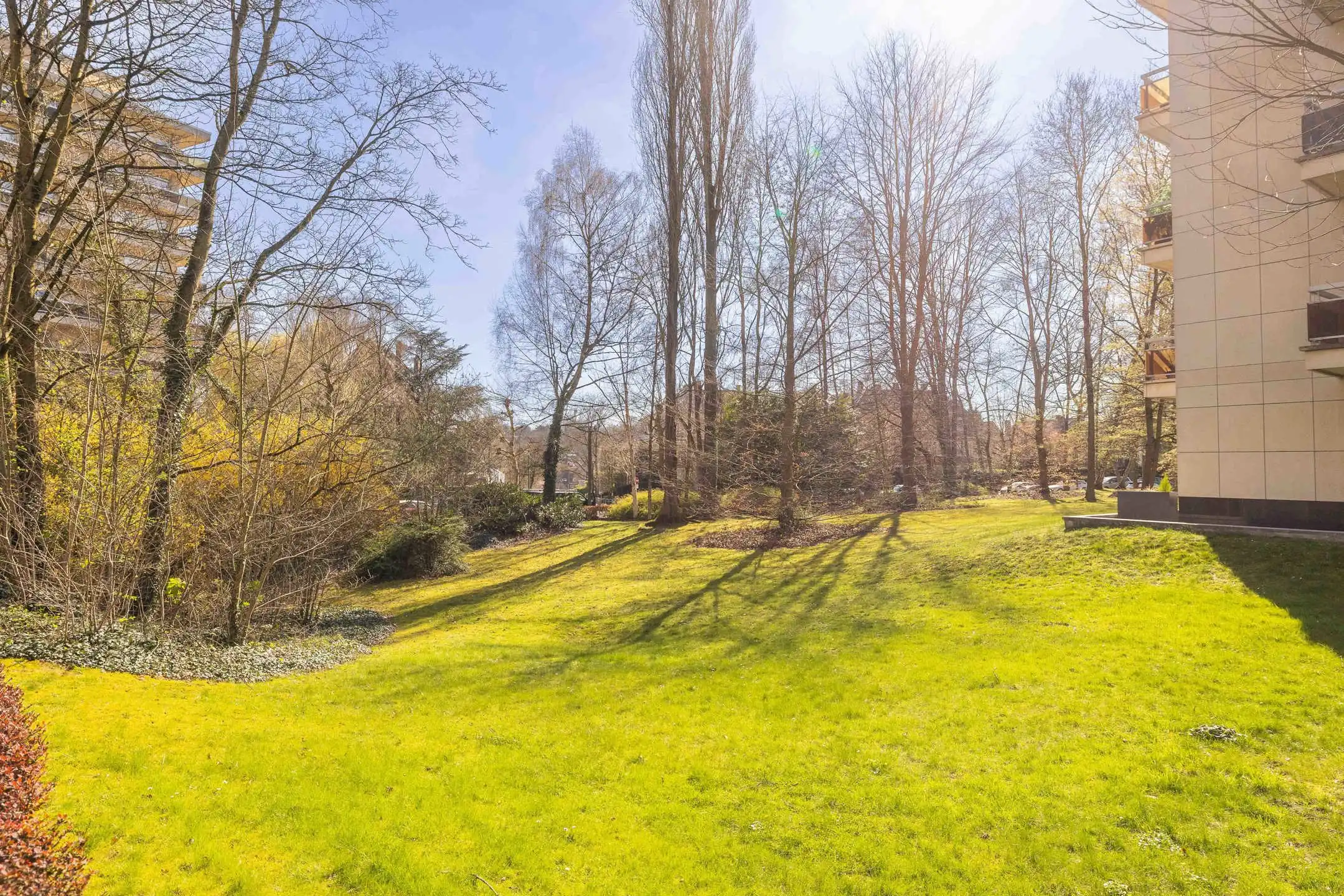 Licht en ruimte in het groene Parc Brugmann foto 9