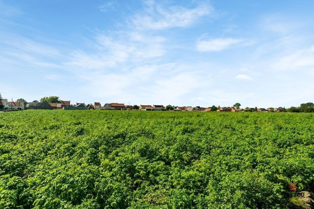 Vrijstaande woning op 680 m² te Houthulst  foto 16