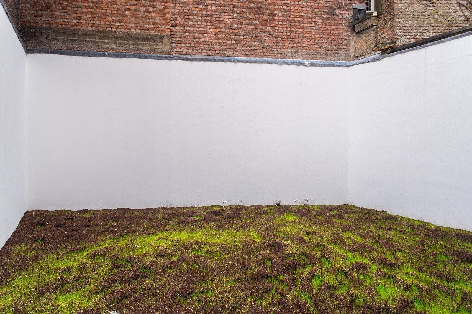 Luxueuze renovatie met tuin op toploctie foto 7