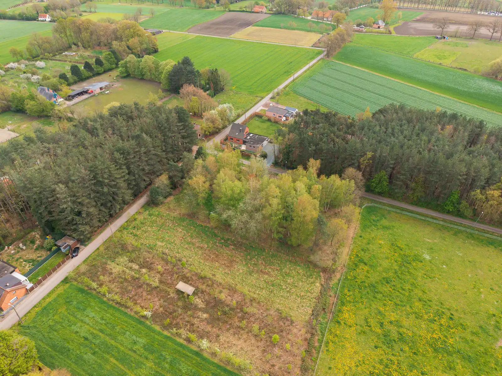 Prachtige landbouwgrond van 3826 m² gelegen in oase van rust foto 5