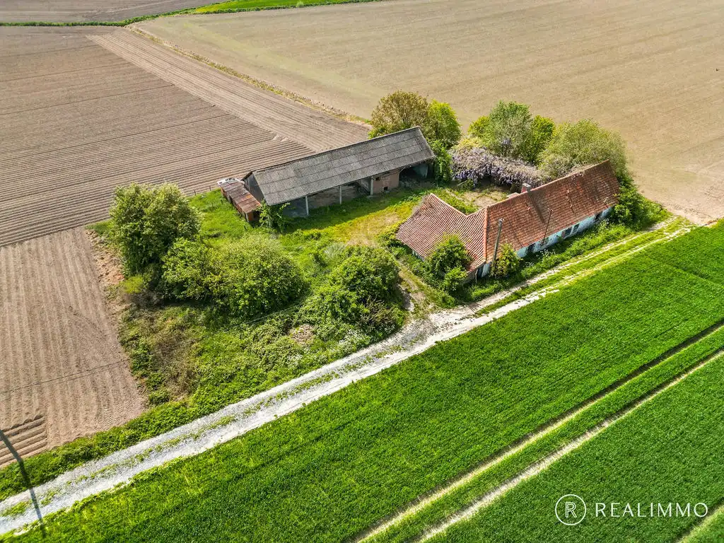 Uniek gelegen fermette met 360° uitzicht in Celles (Molenbaix), met bouwvergunning ! foto 9