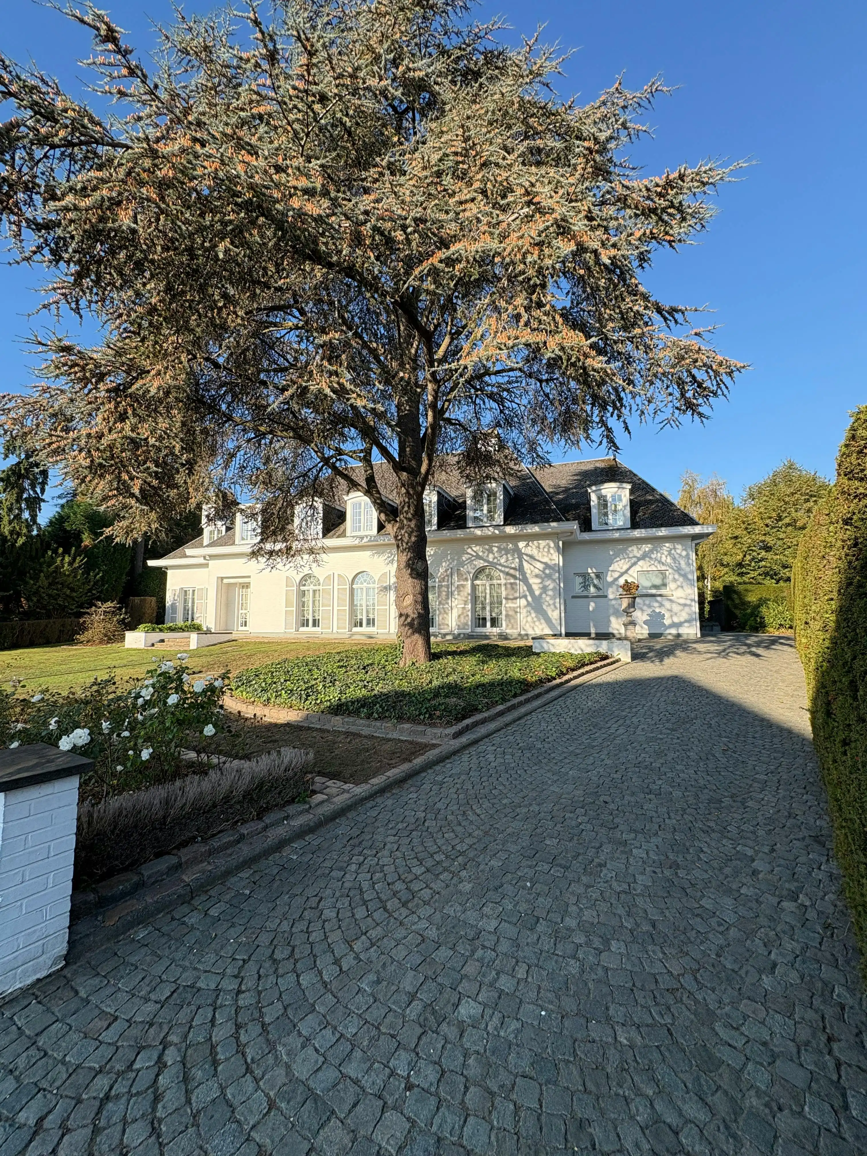 Statige ruime villa, 6 slpk., prachtige parktuin (3.300 m²). foto 36