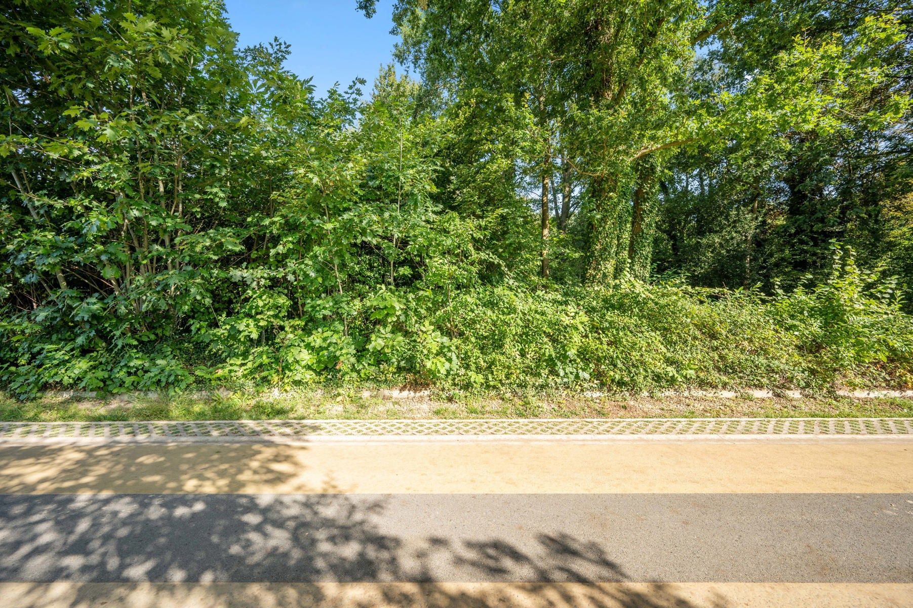 Residentiele bouwgrond 1.376 M2 te ROTSELAAR foto 2