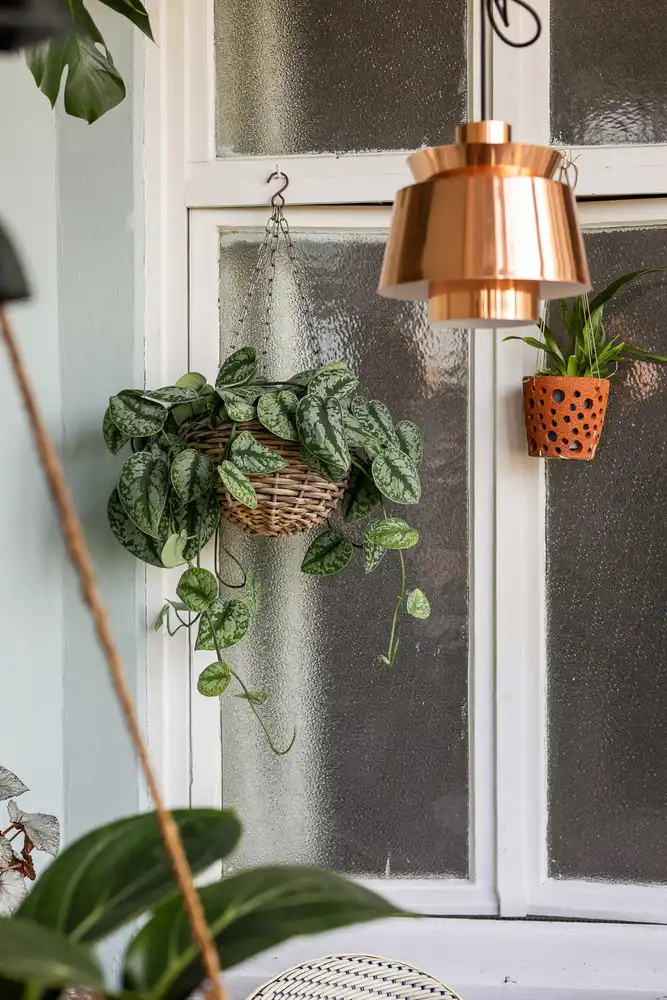 Stijvol en energiezuinig wonen in hartje Antwerpen, onder de iconische Boerentoren - 2 slk en 2 badk! foto 16