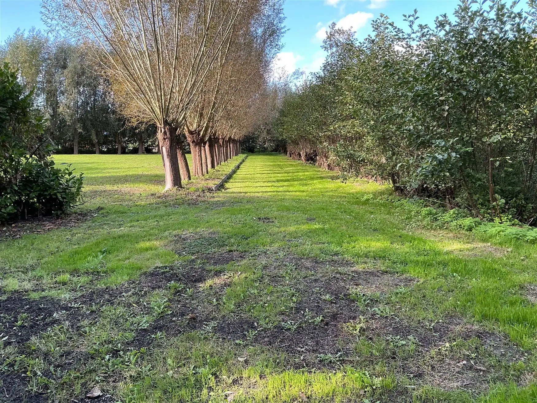 Loods van 240 m² in een groene oase van 5.236 m² foto 7