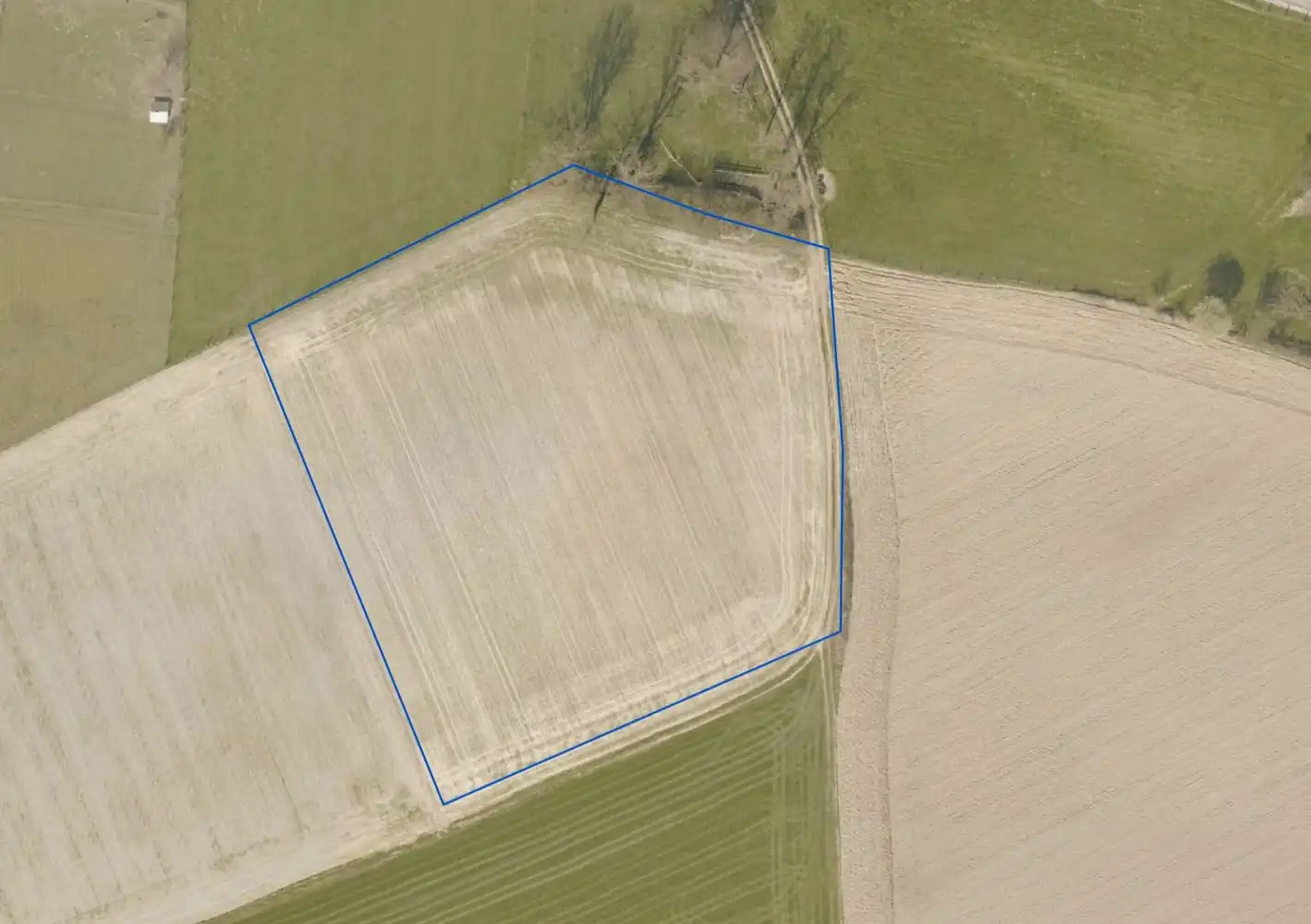 1,6ha verpachte (nog 7 jaar) landbouwgrond te koop foto 5