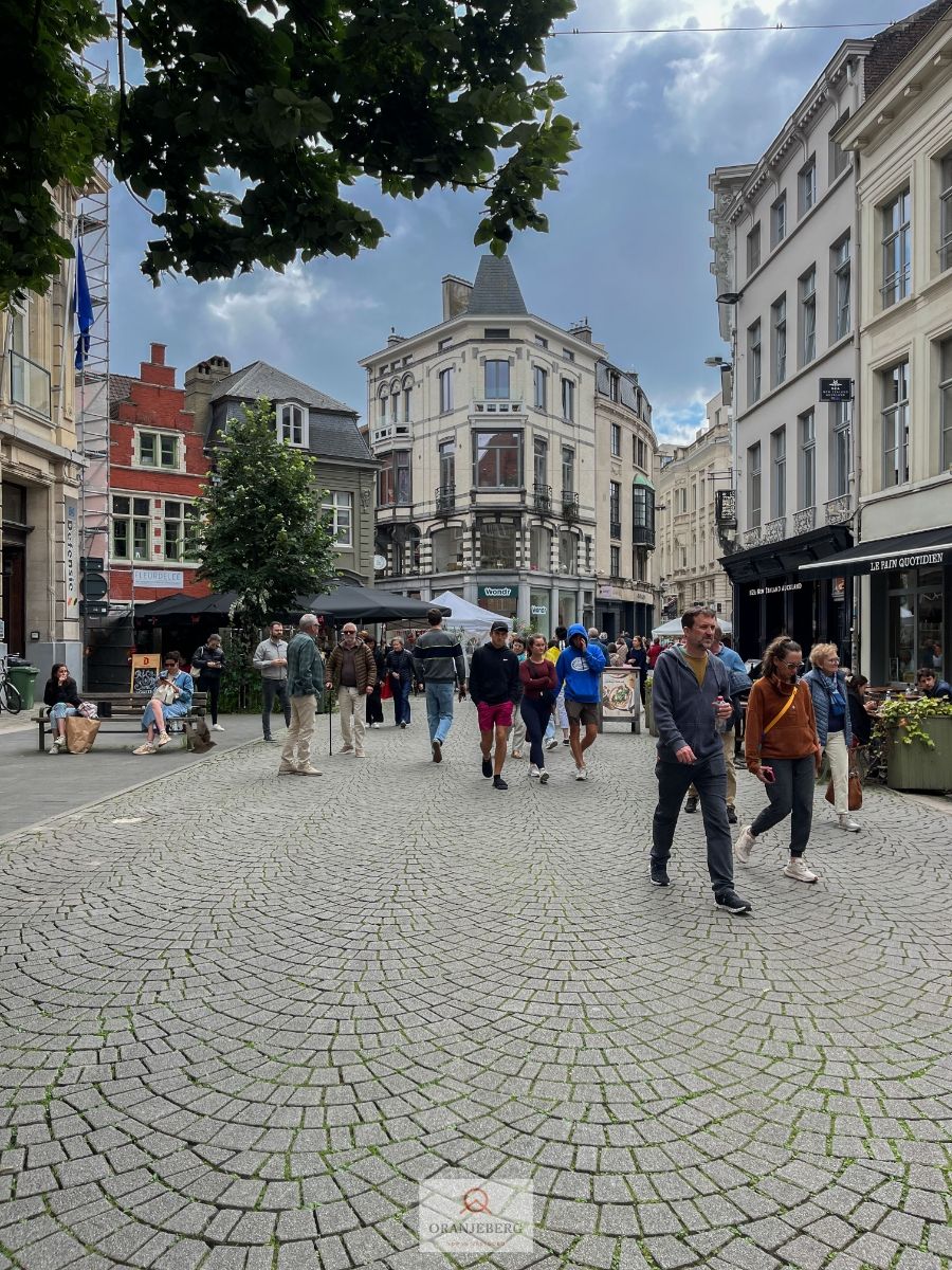 Handelspand in TOP-winkelstraat foto 20