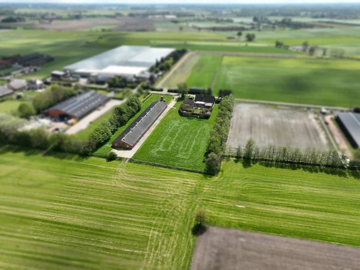 Hoofdfoto van de publicatie: Pluimveebedrijf te Loenhout