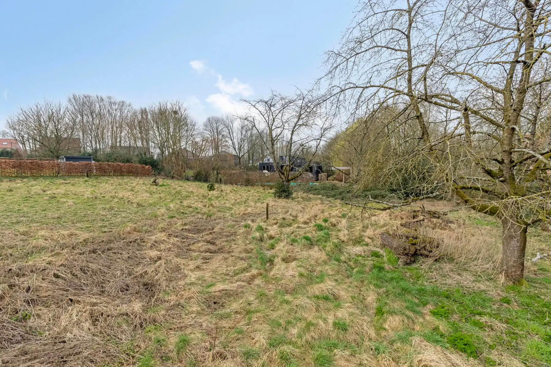 Authentieke hoeve + perceel bouwgrond foto 20