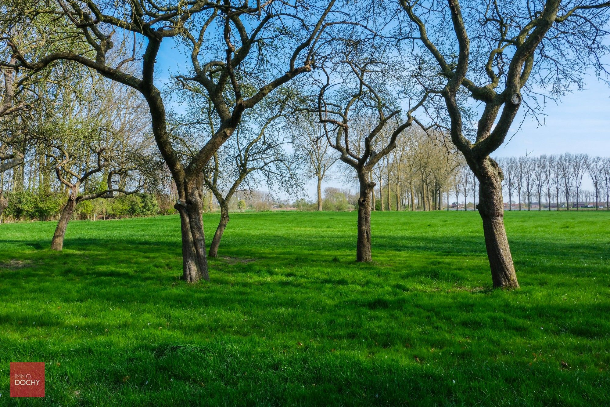 Karaktervolle herenvilla op ca 7.800m² palend aan oude Scheldearm foto 17