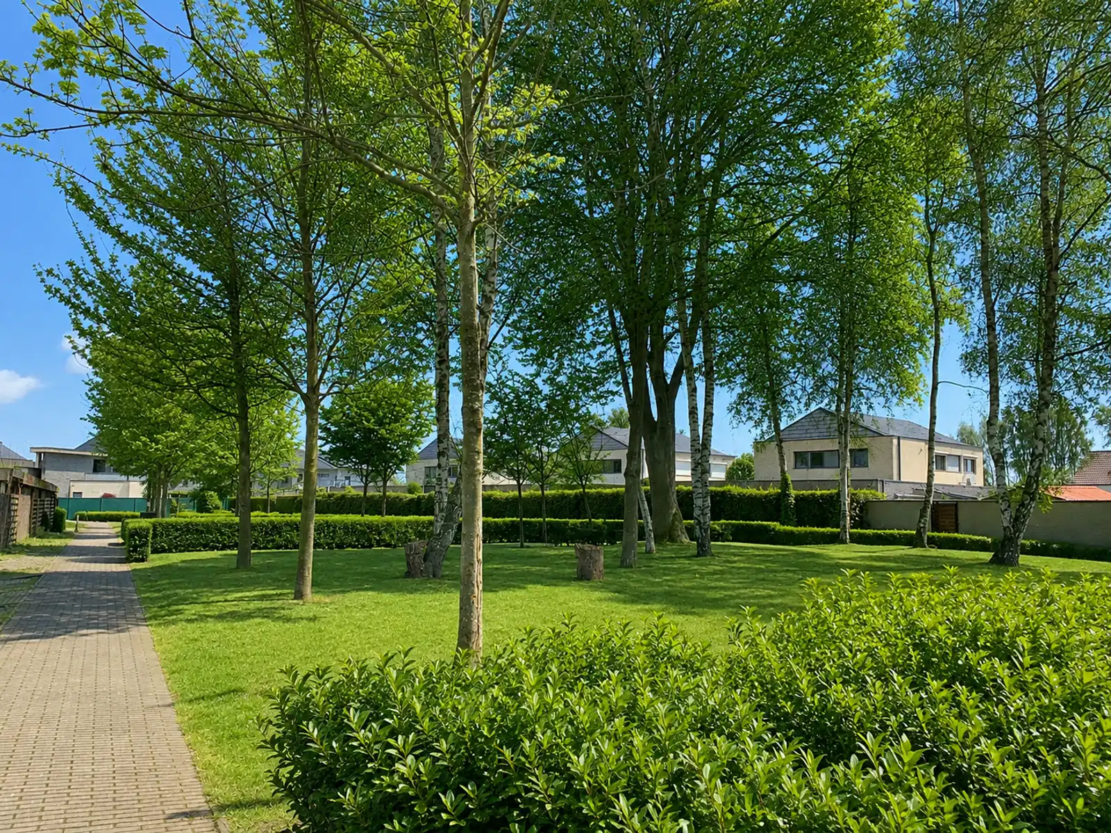 Huis te huur foto 22