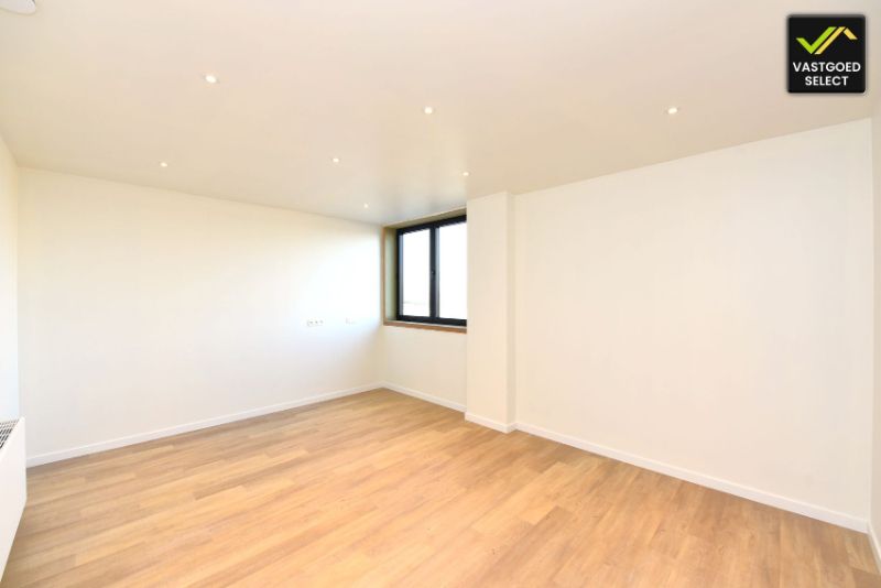 Te Koop: opendeur 8 september van 10u tot 16u! Loods met Woning en 4 Slaapkamers foto 8