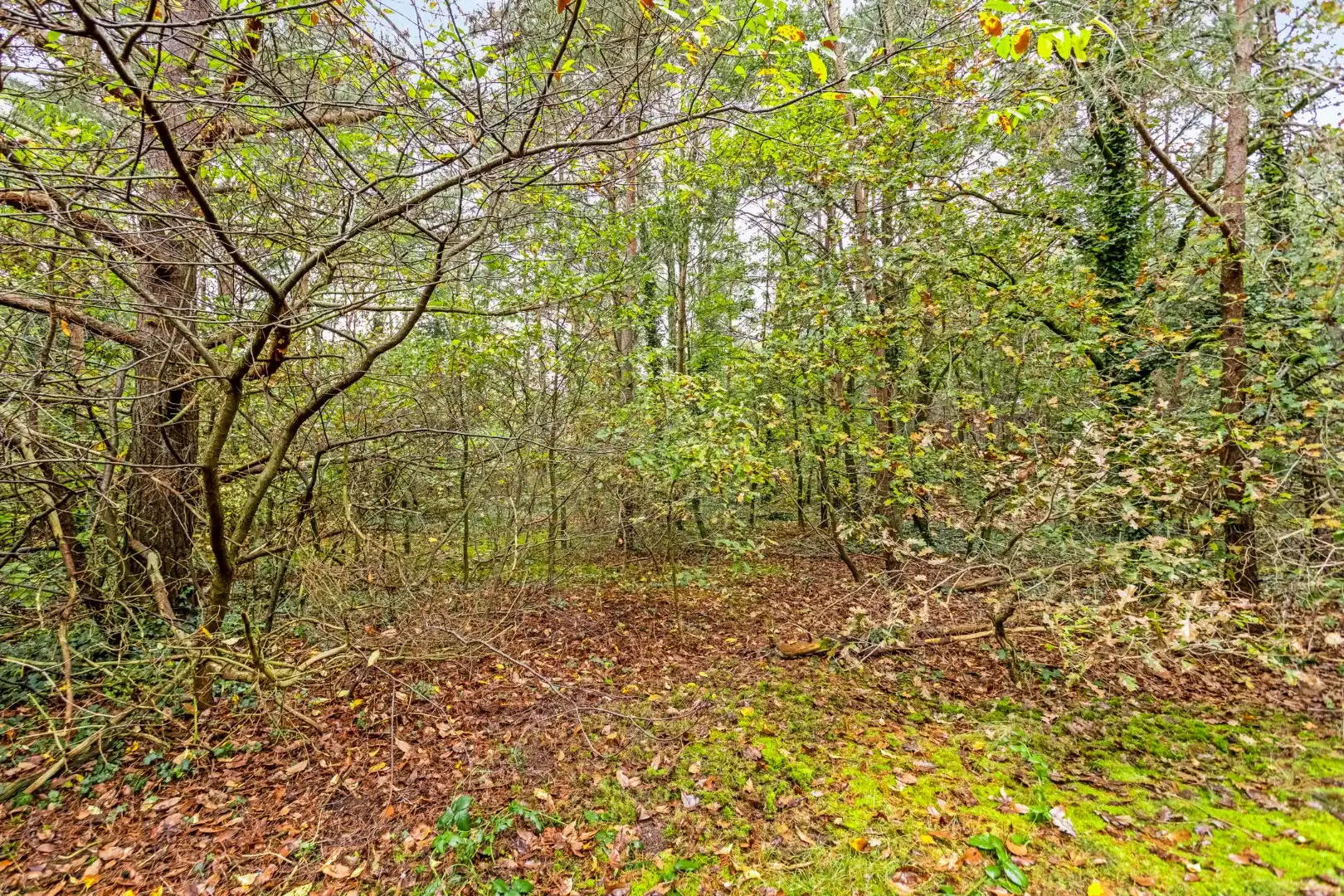 Rustig en groen gelegen woning op een perceel van ca 24a !  foto 28