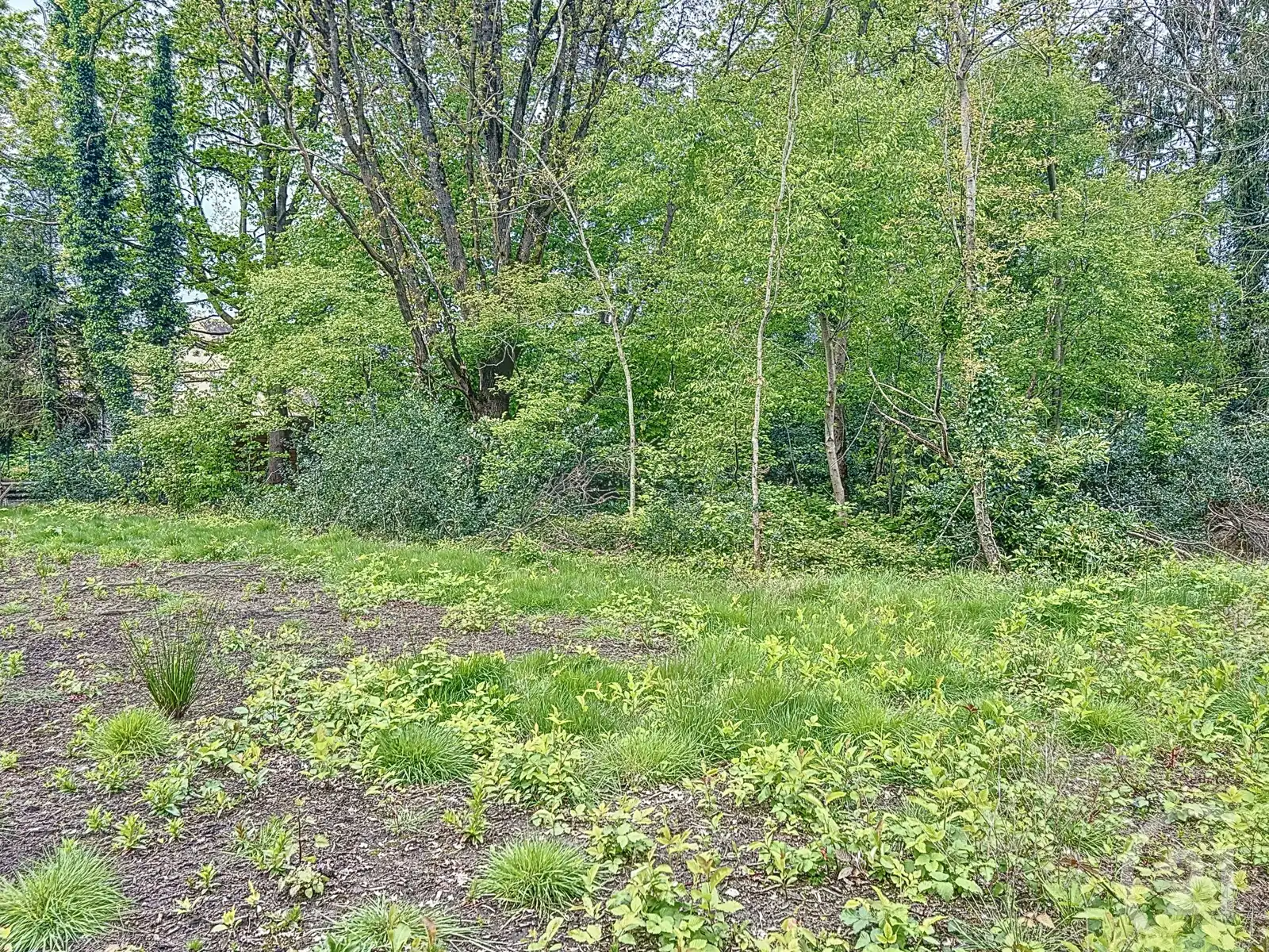 Rustig gelegen bouwgrond in Aarschot! foto 3