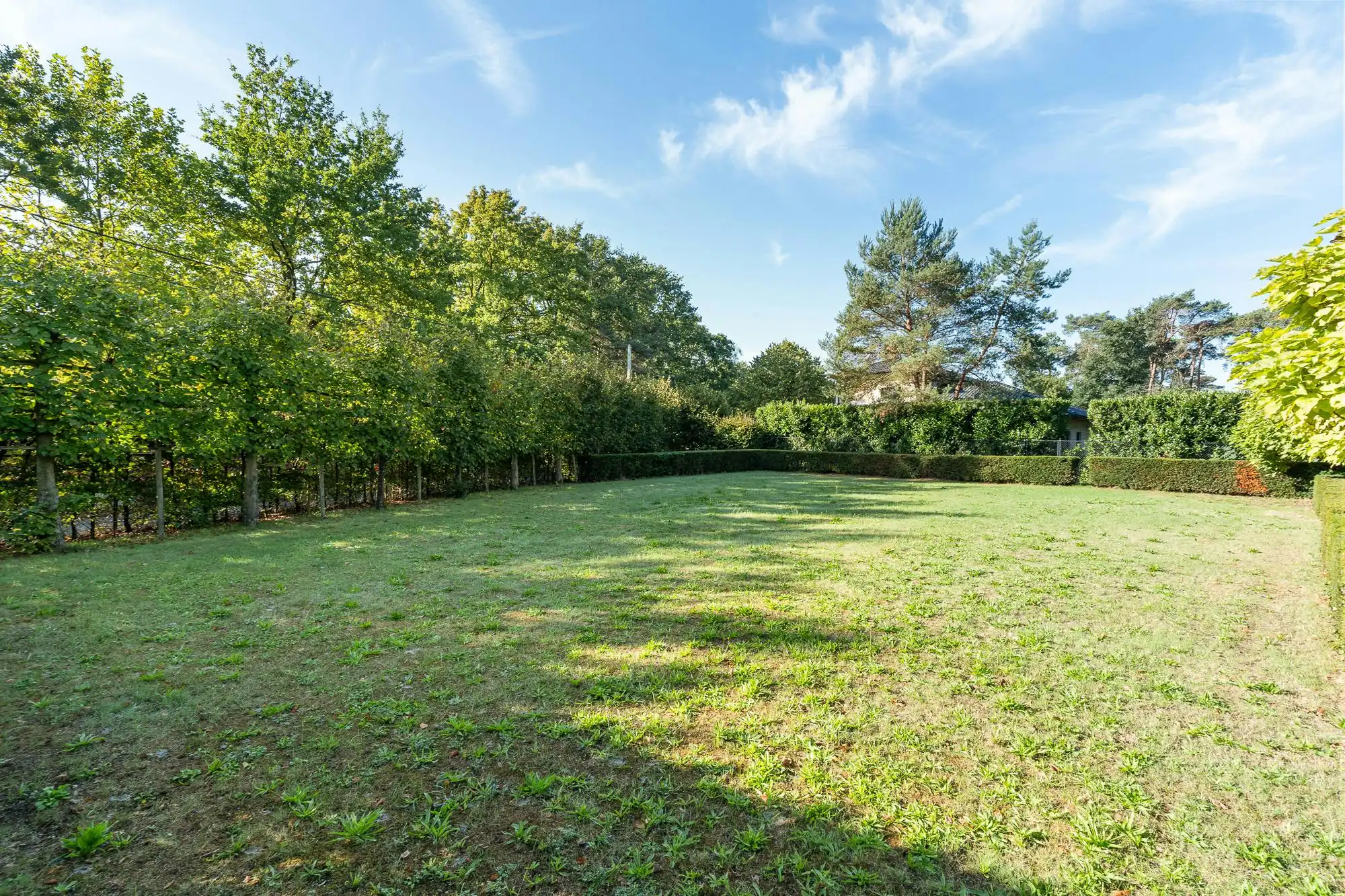 residentieel gelegen villa op 3490 m² te koop in Lichtaart foto 35