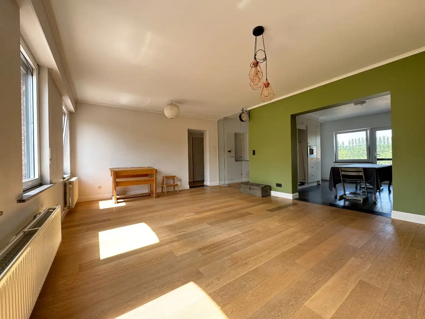een ruim woonhuis op en met grond foto 15