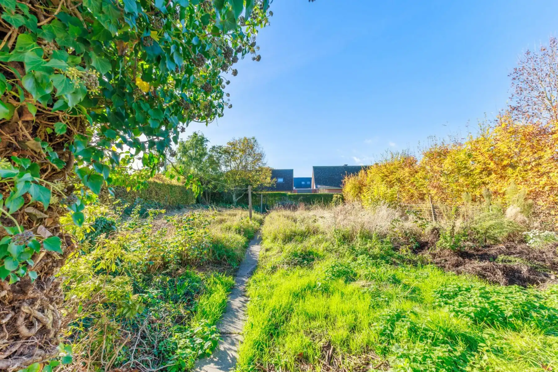 Gezinswoning met grote tuin in groene omgeving foto 23