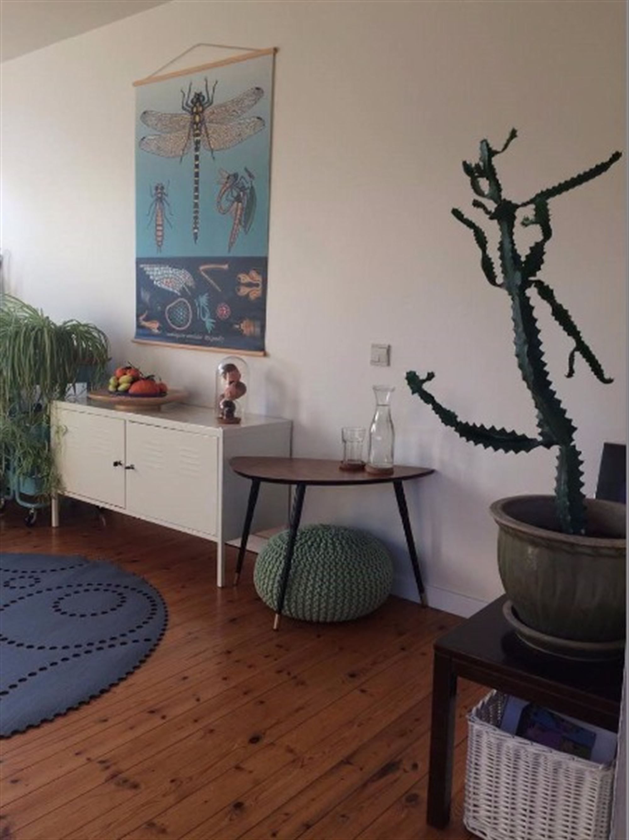 Gezellig appartement foto 15