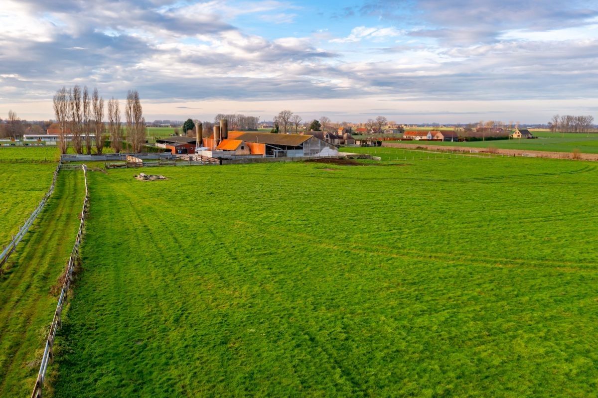 Vleesveebedrijf te koop op 5,85 ha te Alveringem foto 6