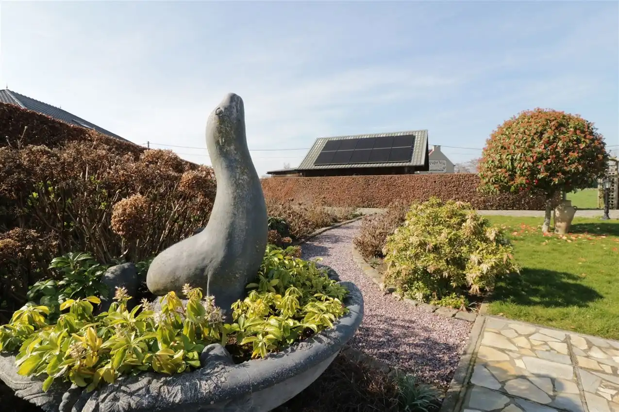 groene omgeving,  klein weiland, zichtbaarheid foto 32