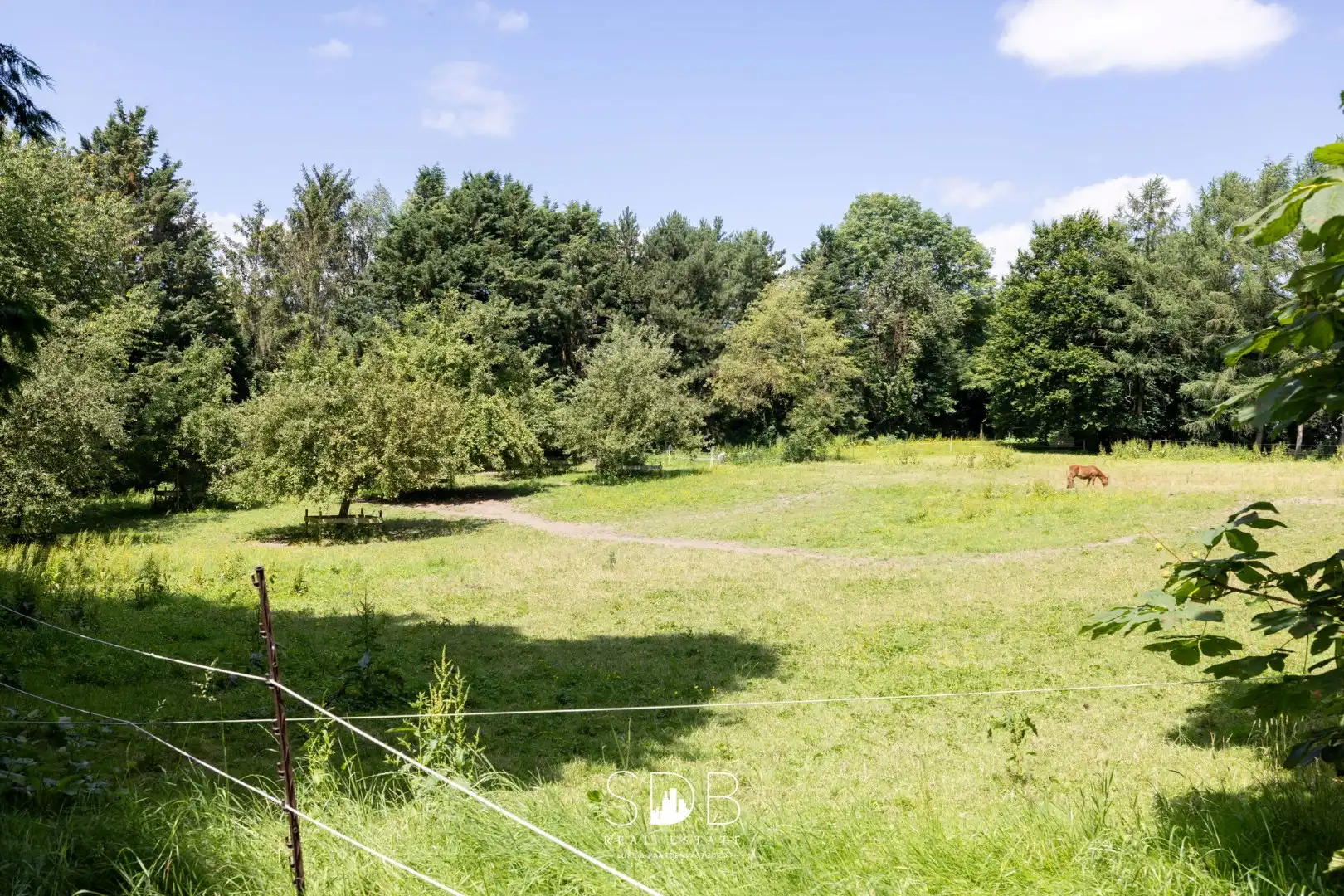 Prachtig kasteel met omringend park, weilanden en stalgebouw op circa 5hectare foto 31