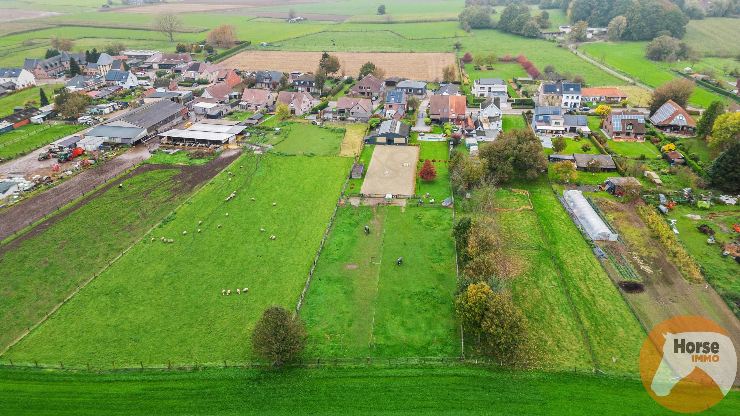 OOSTERZELE - Instapklare woning met stallen, piste en weides foto 11